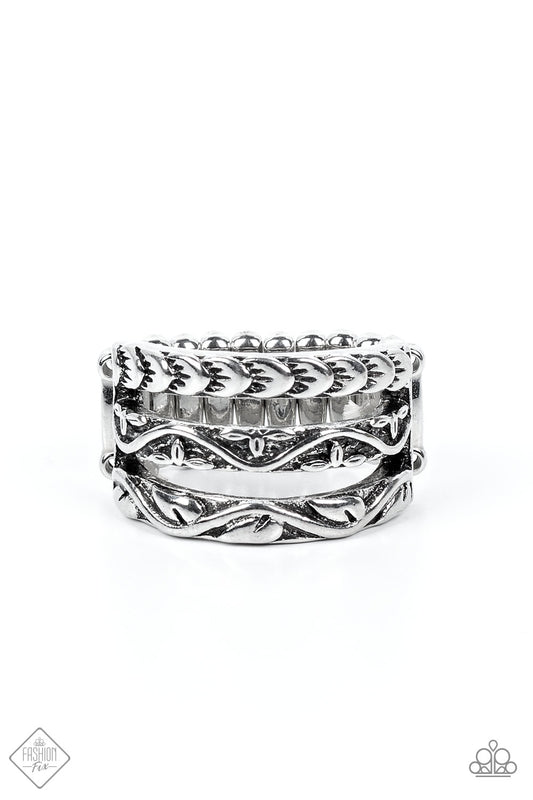 Paparazzi Ring Canyon Canopy - Silver